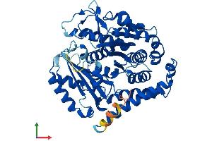 AlphaFold protein structure predicition of Mouse Recombinant Tubb6 Protein, UniprotID Q922F4