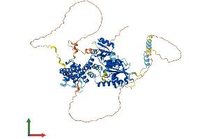 AlphaFold protein structure predicition of Human Recombinant NSUN7 Protein, UniprotID Q8NE18
