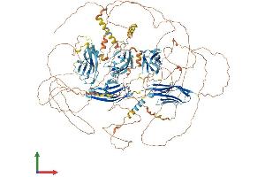 Protein Structure (PS) image for Palladin, Cytoskeletal Associated Protein (PALLD) (AA 1-1383) protein (His tag) (ABIN7554844)