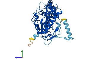 AlphaFold protein structure predicition of Mouse Recombinant Dgat2l6 Protein, UniprotID A2ADU8