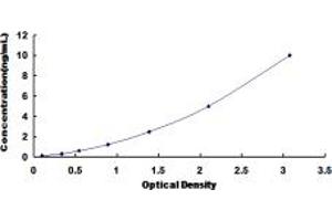 Typical standard curve (CTH ELISA 试剂盒)