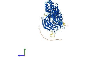 AlphaFold protein structure predicition of Mouse Recombinant Keap1 Protein, UniprotID Q9Z2X8