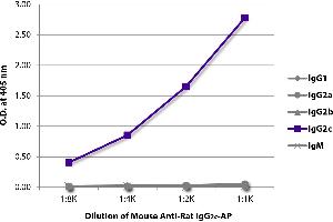 ELISA plate was coated with purified rat IgG1, IgG2a, IgG2b, IgG2c, and IgM. (小鼠 anti-大鼠 IgG2c Antibody (Alkaline Phosphatase (AP)))