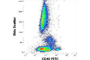 Flow cytometry surface staining pattern of human peripheral whole blood stained using anti-human CD40 (HI40a) FITC antibody (20 μL reagent / 100 μL of peripheral whole blood). (CD40 抗体  (FITC))
