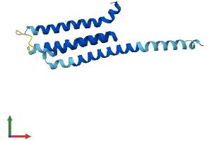 Protein Structure (PS) image for Arachidonate 5-Lipoxygenase-Activating Protein (ALOX5AP) (AA 1-161) protein (His tag) (ABIN7551997)
