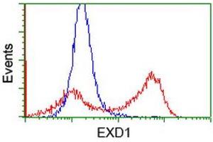 Flow Cytometry (FACS) image for anti-Exonuclease 3'-5' Domain Containing 1 (EXD1) antibody (ABIN1498137) (EXD1 抗体)