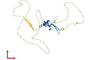 Protein Structure (PS) image for Chromobox Homolog 8 (CBX8) (AA 1-362) protein (His tag) (ABIN7561761)
