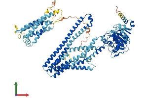 Protein Structure (PS) image for ATP-Binding Cassette, Sub-Family B (MDR/TAP), Member 6 (ABCB6) (AA 1-842) protein (His tag) (ABIN7551792)