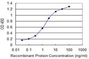 Detection limit for recombinant GST tagged STAB1 is 0. (Stabilin 1 抗体  (AA 1804-1902))