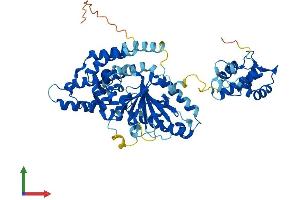 AlphaFold protein structure predicition of Human Recombinant EHD4 Protein, UniprotID Q9H223 (EHD4 Protein (AA 1-541) (His tag))