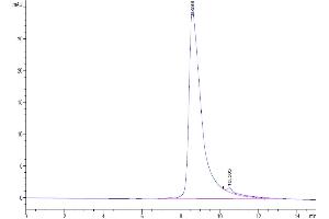 Size-exclusion chromatography-High Pressure Liquid Chromatography (SEC-HPLC) image for Bone Marrow Stromal Cell Antigen 1 (BST1) (AA 26-289) protein (His tag) (ABIN7273989)