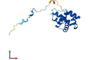 Protein Structure (PS) image for Actin Related Protein 2/3 Complex, Subunit 5-Like (ARPC5L) (AA 1-153) protein (His tag) (ABIN7552423)
