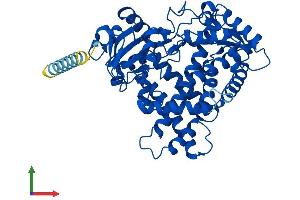 Protein Structure (PS) image for Cytochrome P450, Family 2, Subfamily A, Polypeptide 13 (CYP2A13) (AA 1-494) protein (His tag) (ABIN7546825)