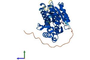 Protein Structure (PS) image for HemK Methyltransferase Family Member 1 (HEMK1) (AA 1-340) protein (His tag) (ABIN7560198)