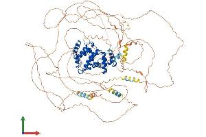 AlphaFold protein structure predicition of Human Recombinant ARHGAP11A Protein, UniprotID Q6P4F7 (ARHGAP11A Protein (AA 1-1023) (His tag))