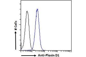 ABIN185358 Flow cytometric analysis of paraformaldehyde fixed K562 cells (blue line), permeabilized with 0. (PLXND1 抗体  (Internal Region))