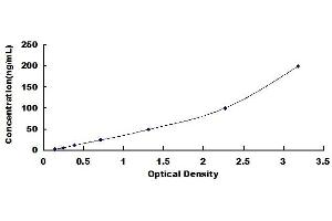 Typical standard curve