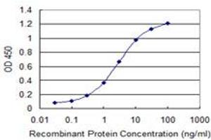 Detection limit for recombinant GST tagged OTOP2 is 0. (Otopetrin 2 抗体  (AA 423-493))