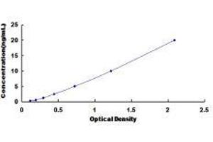 Disabled Homolog 1 (Drosophila) (DAB1) ELISA Kit