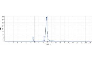 The purity of Anti-GCGR Reference Antibody (volagidemab) is 98. (Recombinant GCGR (Volagidemab Biosimilar) 抗体)