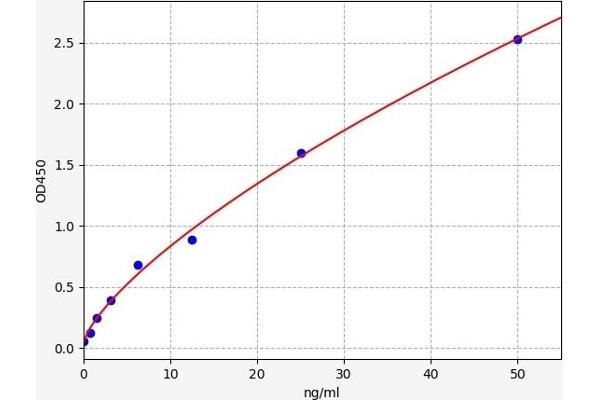 Dystrophin ELISA 试剂盒