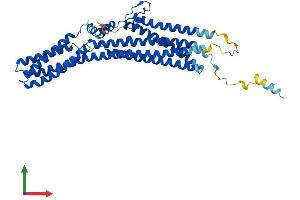 AlphaFold protein structure predicition of Human Recombinant TTYH1 Protein, UniprotID Q9H313