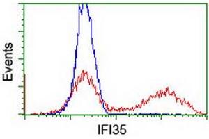 HEK293T cells transfected with either RC200929 overexpress plasmid (Red) or empty vector control plasmid (Blue) were immunostained by anti-IFI35 antibody (ABIN2454901), and then analyzed by flow cytometry. (IFI35 抗体)