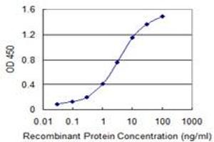 Detection limit for recombinant GST tagged PLDN is 0. (Pallidin 抗体  (AA 1-99))