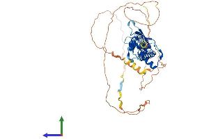 Protein Structure (PS) image for Transcription Factor AP-2 beta (Activating Enhancer Binding Protein 2 Beta) (TFAP2B) (AA 1-460) protein (His tag) (ABIN7552256)