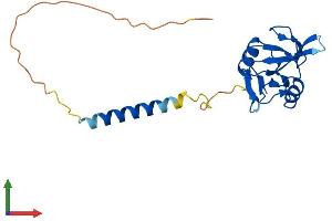 Protein Structure (PS) image for CD69 (CD69) (AA 1-199) protein (His tag) (ABIN7563198)