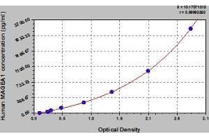 Typical Standard Curve (MAGEA1 ELISA 试剂盒)
