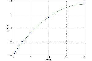 C-Mer Proto-Oncogene Tyrosine Kinase (MERTK) ELISA Kit