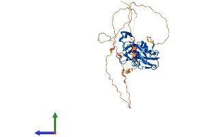 Protein Structure (PS) image for T-Box 10 (TBX10) (AA 1-385) protein (His tag) (ABIN7544296)