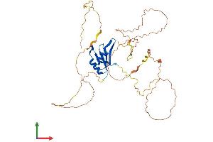 Protein Structure (PS) image for Ataxin 2-Binding Protein 1 (A2BP1) (AA 1-397) protein (His tag) (ABIN7551263)