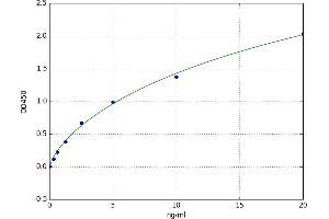 A typical standard curve (TIMP1 ELISA 试剂盒)