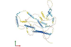 Protein Structure (PS) image for Family with Sequence Similarity 161, Member A (FAM161A) (AA 1-660) protein (His tag) (ABIN7547406)