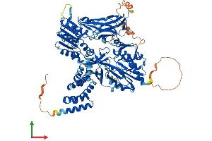AlphaFold protein structure predicition of Mouse Recombinant Prmt9 Protein, UniprotID Q3U3W5