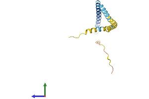 AlphaFold protein structure predicition of Human Recombinant TPD52L3 Protein, UniprotID Q96J77