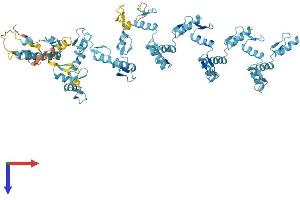 AlphaFold protein structure predicition of Human Recombinant ZNF607 Protein, UniprotID Q96SK3