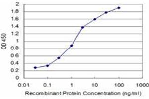 Detection limit for recombinant GST tagged SMAD7 is approximately 0. (SMAD7 抗体  (AA 160-260))