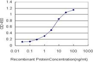 ELISA image for anti-Protein Kinase Protein SgK196 (SGK196) (AA 251-350) antibody (ABIN566551)