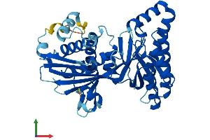 Protein Structure (PS) image for Mevalonate Kinase (MVK) (AA 1-396) protein (His tag) (ABIN7548816)