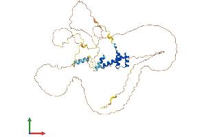Protein Structure (PS) image for Homeobox even-skipped homolog protein 2 (EVX2) (AA 1-475) protein (His tag) (ABIN7563347)