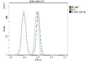Flow Cytometry analysis of A549 cells using anti-KCNH1 antibody (ABIN6719590).