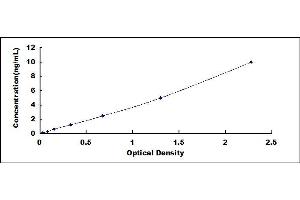 Typical standard curve (Glutathione Synthetase ELISA 试剂盒)