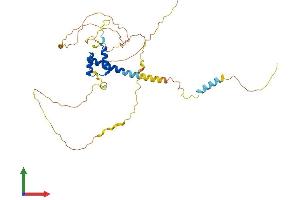 Protein Structure (PS) image for NK6 Homeobox 1 (NKX6-1) (AA 1-367) protein (His tag) (ABIN7549768)