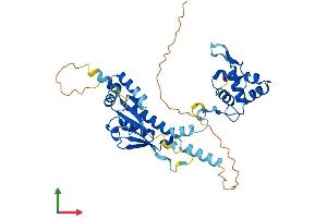 AlphaFold protein structure predicition of Human Recombinant EME2 Protein, UniprotID A4GXA9