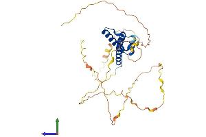 AlphaFold protein structure predicition of Human Recombinant NEUROD6 Protein, UniprotID Q96NK8