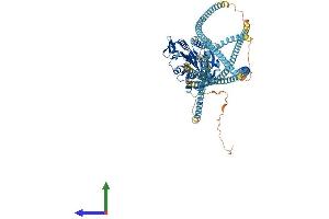 Protein Structure (PS) image for Kinesin Family Member 5C (KIF5C) (AA 1-956) protein (His tag) (ABIN7563064)