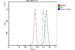 Flow Cytometry analysis of HeLa cells using anti-PASK antibody (ABIN7825660).